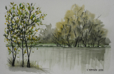 Paysage vert